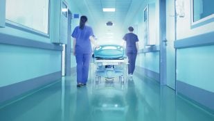 Así avanza la propagación del gen que genera superbacterias resistentes en hospitales y granjas
