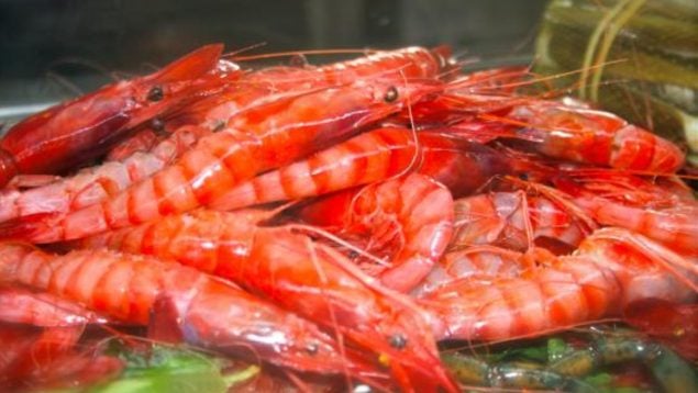 Baleares reclama gestionar sus propios caladeros de gamba roja en 2026