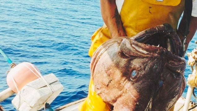 pescadores de Formentera