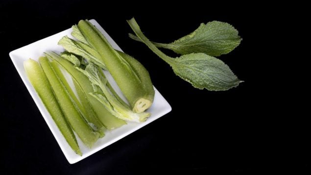 Borrajas