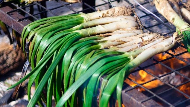 Recetas catalanas