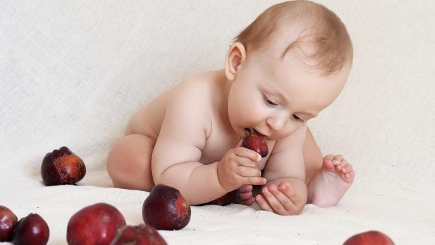 Comidas que no debes darle al bebé según los pediatras, consejo asociación española de pediatría sobre alimentación de bebés, por qué la zanahoria es mala en bebés, por qué no dar espinacas a los bebés de seis meses, por qué los alimentos ricos en nitratos son malos para los bebés.