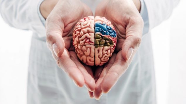 litio alzheimer