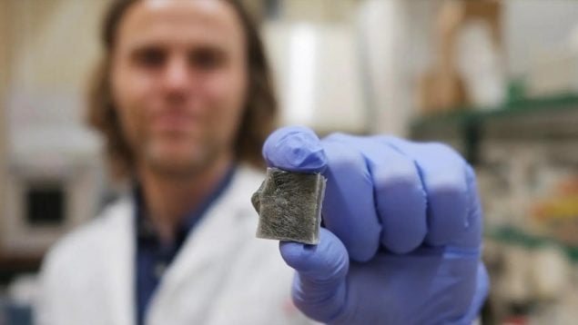 Material con algas que genera electricidad