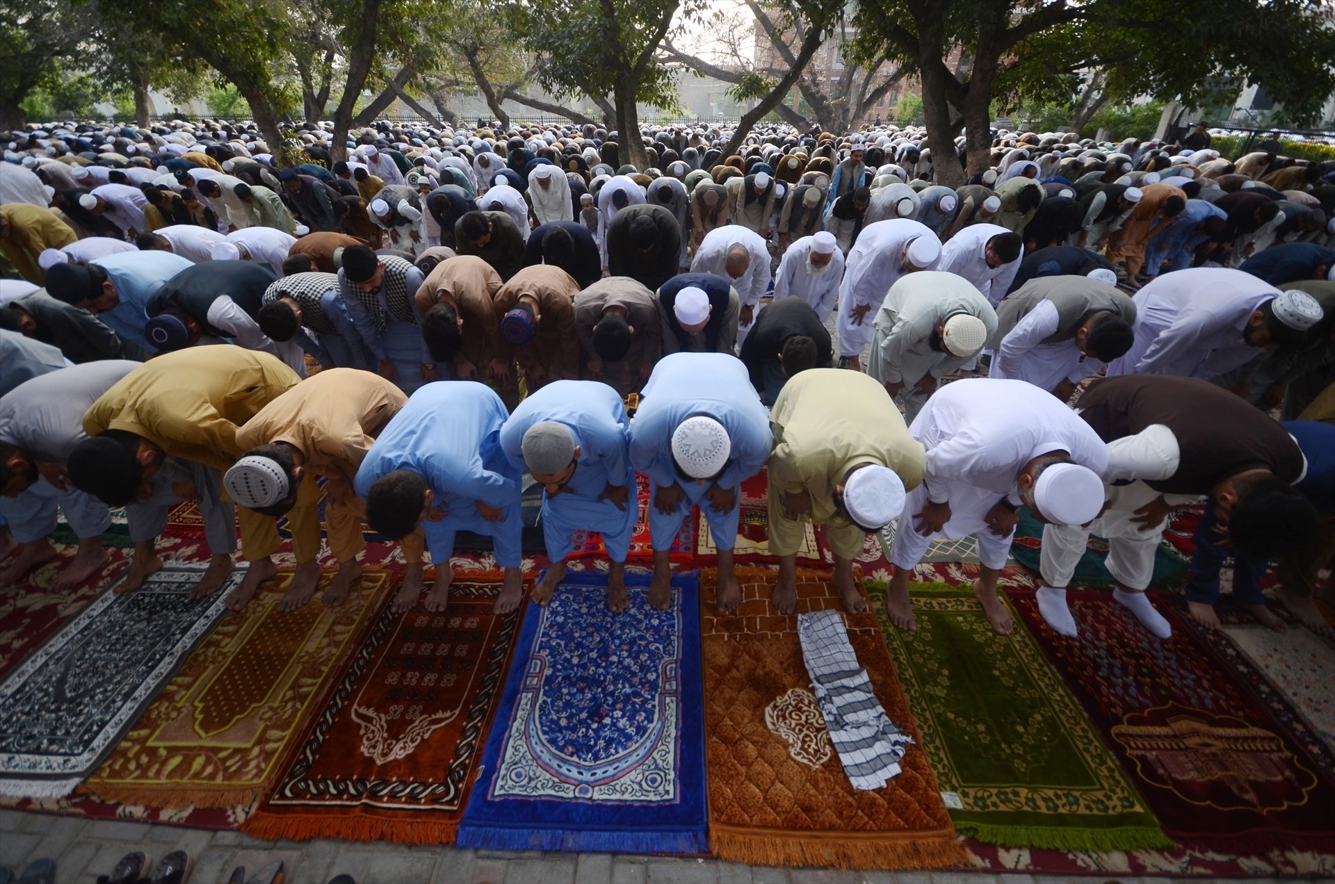 Musulmanes en el rezo colectivo durante el Ramadán. (E.P.)