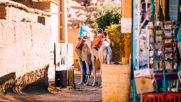 Vacaciones Marruecos