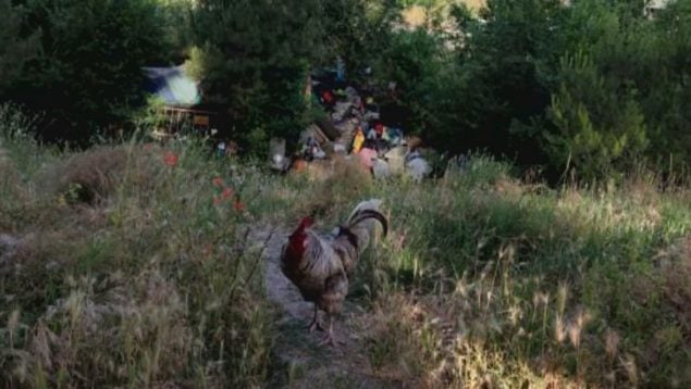 Okupas del parque de La Viña, okupa no paga la comunidad y lo hace el ayuntamiento, okupas de Madrid, problema de okupación en Madrid,okupas en Madrid.