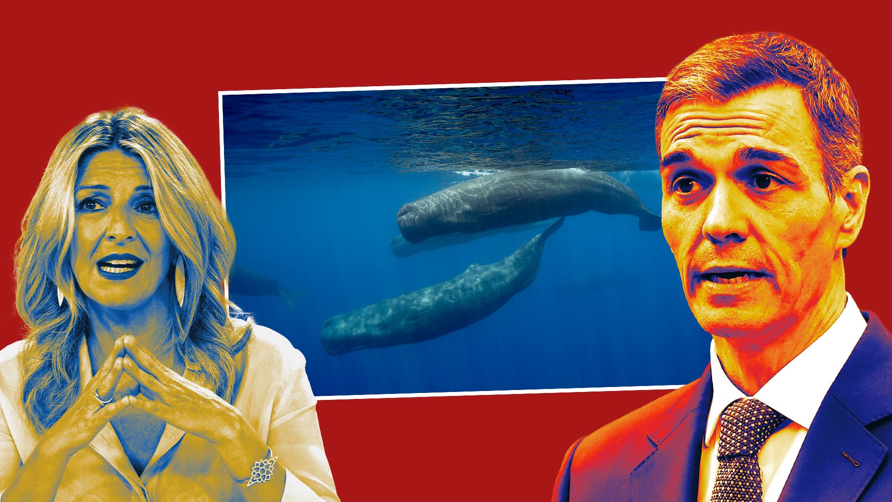 Yolanda Díaz, cachalotes y Pedro Sánchez.