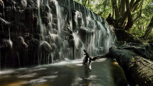 Cascada ideal para niños y perros