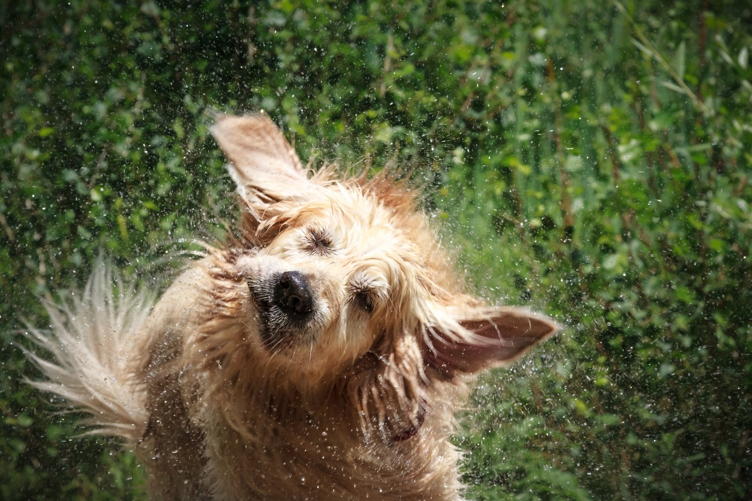Splashing Around