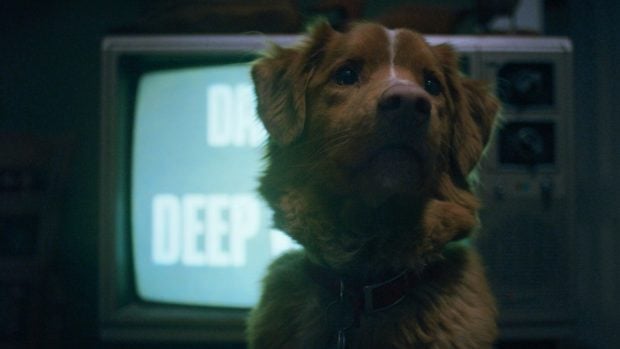 Good Boy cine de terror