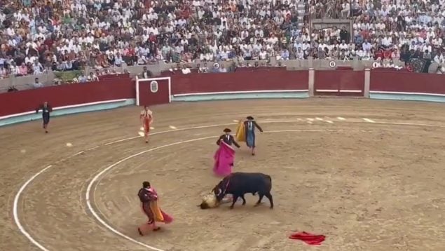 Morante cornada