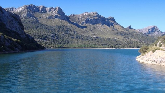 Las reservas de agua de Baleares caen cinco puntos en un mes y ya están al 43%