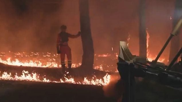 Ver vídeo