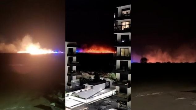 Ver vídeo