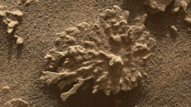 Descubrimiento de un coral en Marte, hallazgos de la NASA en Marte, nuevo descubrimiento de Curiosity, aniversario del robot Curiosity, paposo, paposo y Marte, Nasa y Marte.