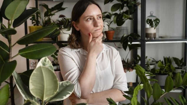 Regar tus plantas en vacaciones