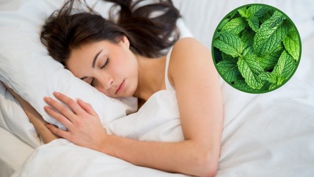 Poner hojas de hierbabuena bajo la almohada