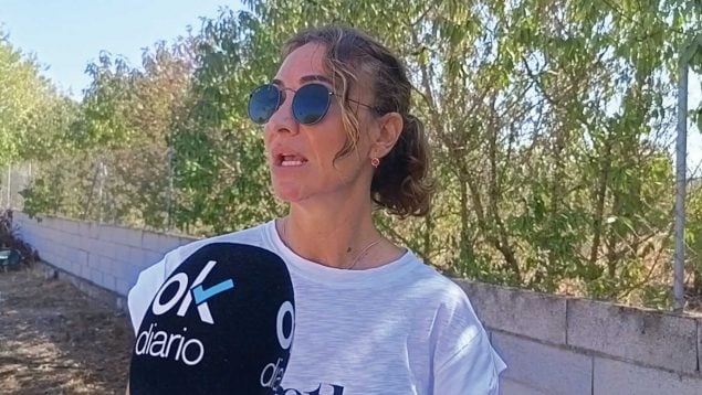 Ver vídeo