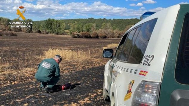 mujer, incendios, Coruña, investigada, detenida, Guardia Civil, Galicia, sucesos, La Coruña