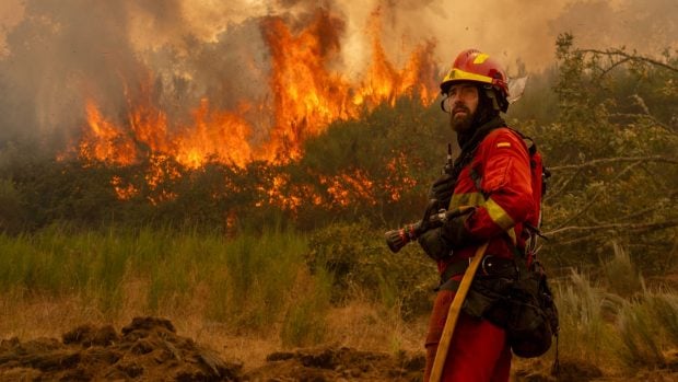incendio forestal