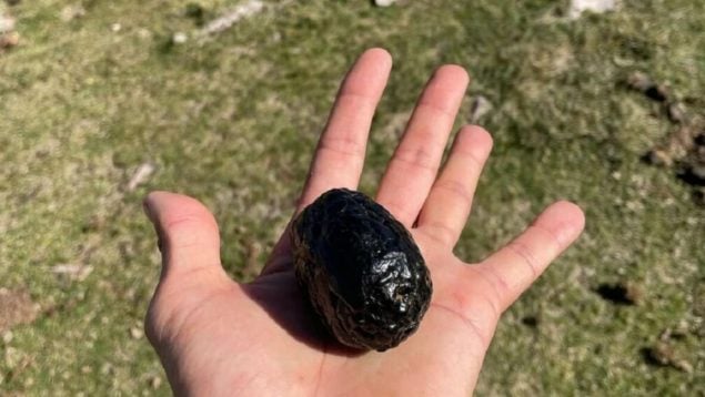 Piedra, corzo, descubrimientos, curiosidades