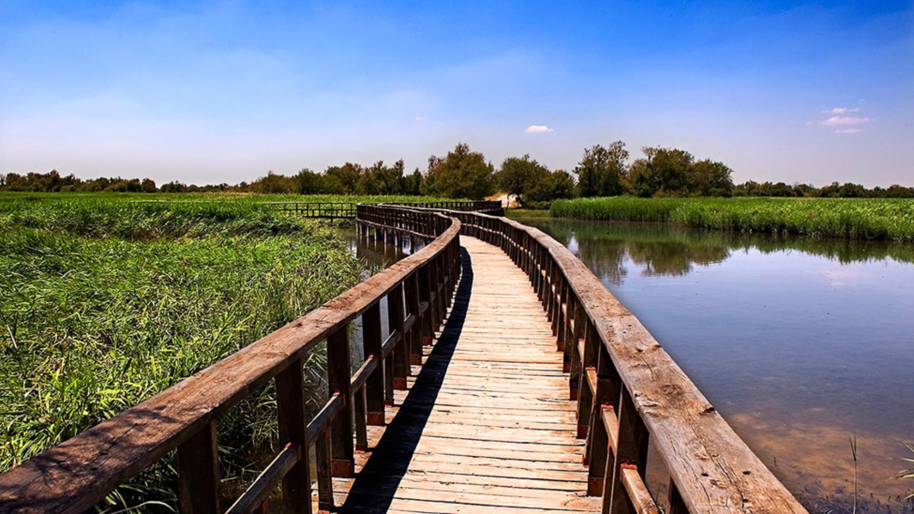 Parque Nacional Las Tablas de Daimiel. Foto: Turismo Castilla-La Mancha