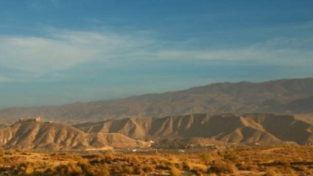 Plantas, desierto, curiosidades
