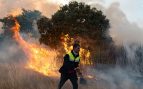 Muerto incendios Zamora