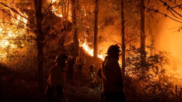incendios, pirómanos, España, intencionados, provocados, Guardia Civil