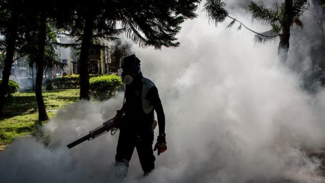 'coronavirus' chino España chikungunya