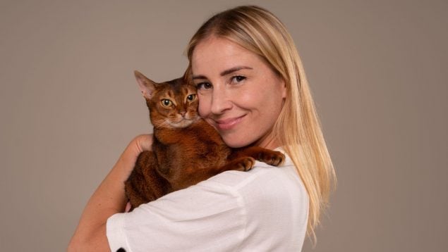 Gato, felino, animal, mascota, curiosidades