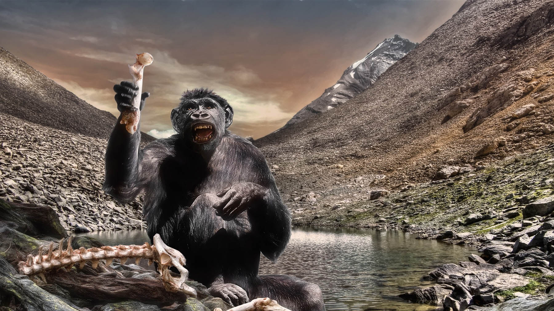 Ilustración del Australopithecus. Foto: Pixabay.