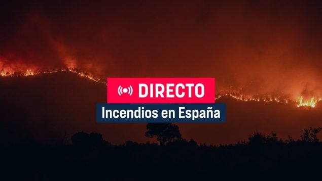 Ver vídeo