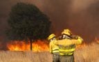 muerto incendios León