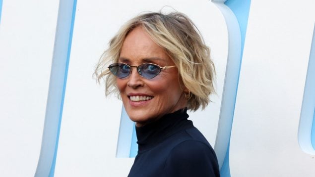 sharon stone, españa sharon estone,