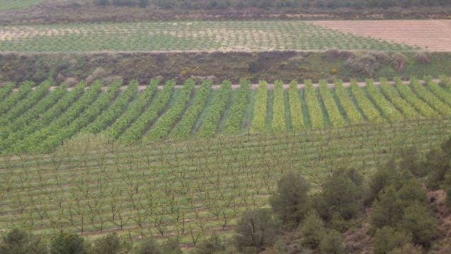 Baleares ayudas europeas, Baleares PC