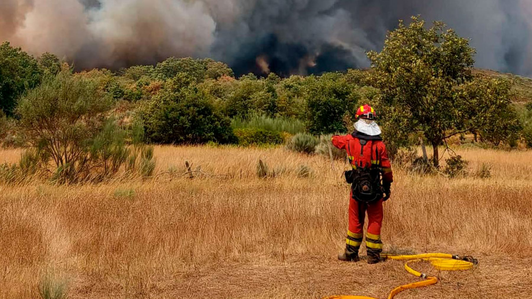Un miembro de la UME del operativo de Orense. (Efe)