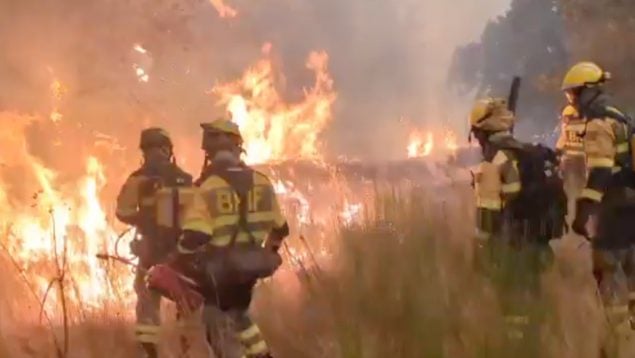 bombero muerto León