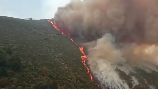 Ver vídeo