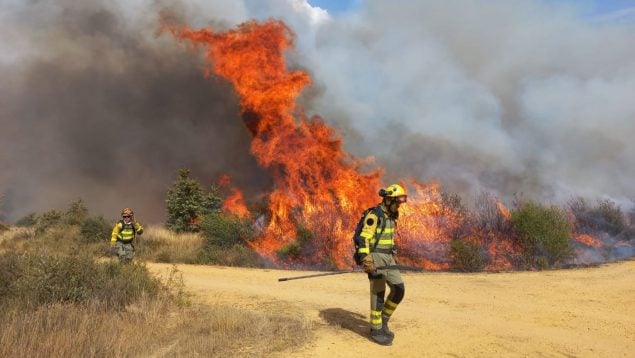 incendios Castilla y León, Zamora, Palencia, Fuego
