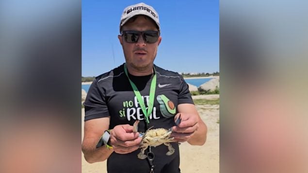 Pescador, cangrejo, animales