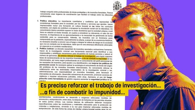 Pedro Sánchez incendios