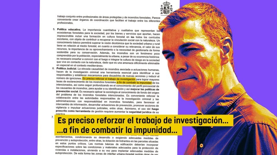 El Gobierno admite la impunidad de los pirómanos mientras Sánchez culpa a la ola de calor