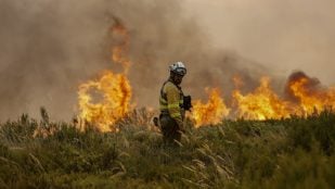 incendios en España