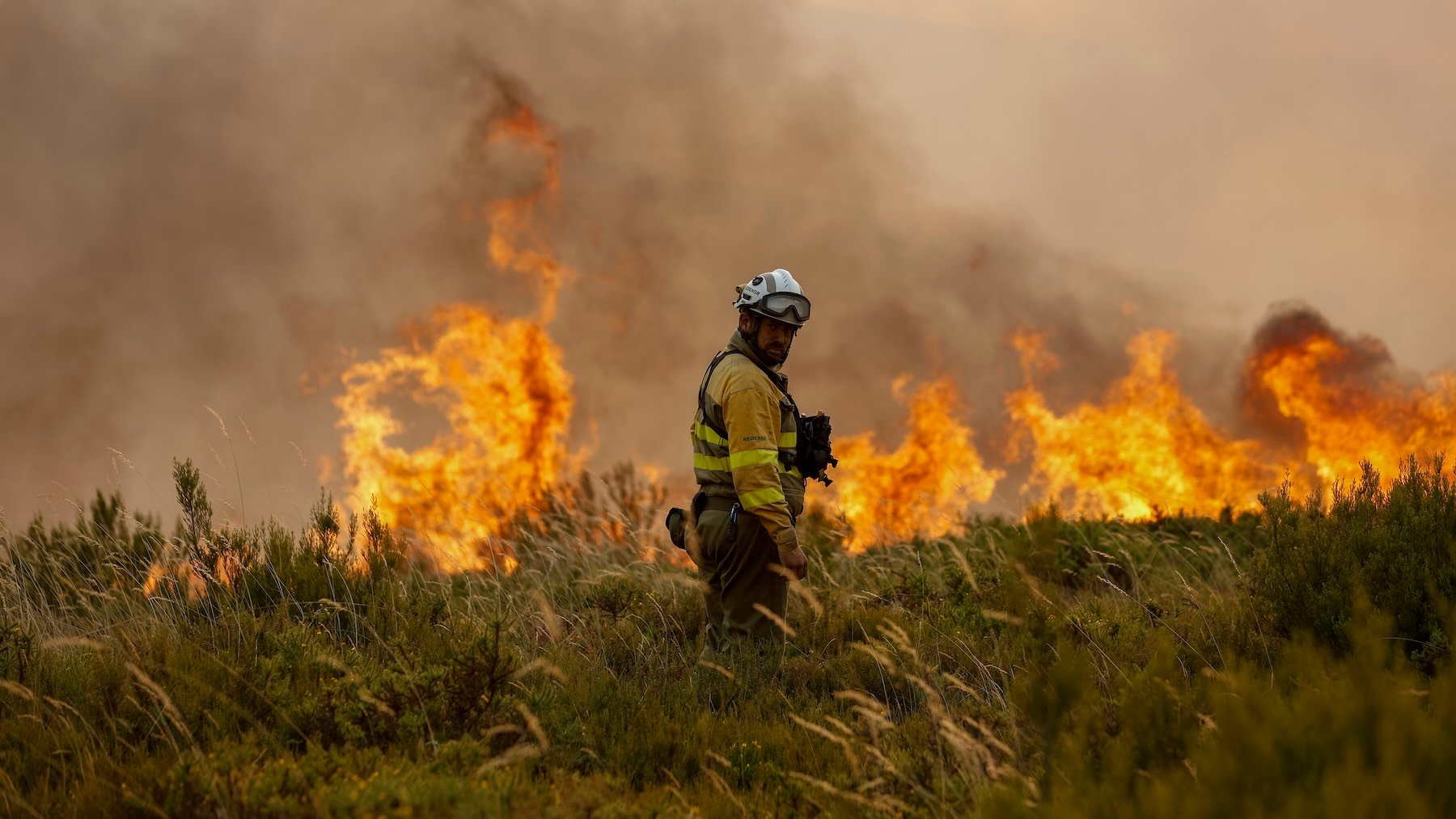 Fuente: GettyImages