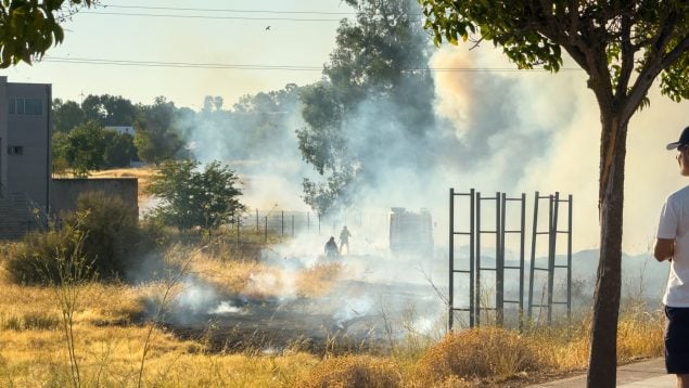 Cazan a un pirómano mechero en mano tras provocar dos incendios en dos días en Puerto Real (Cádiz)