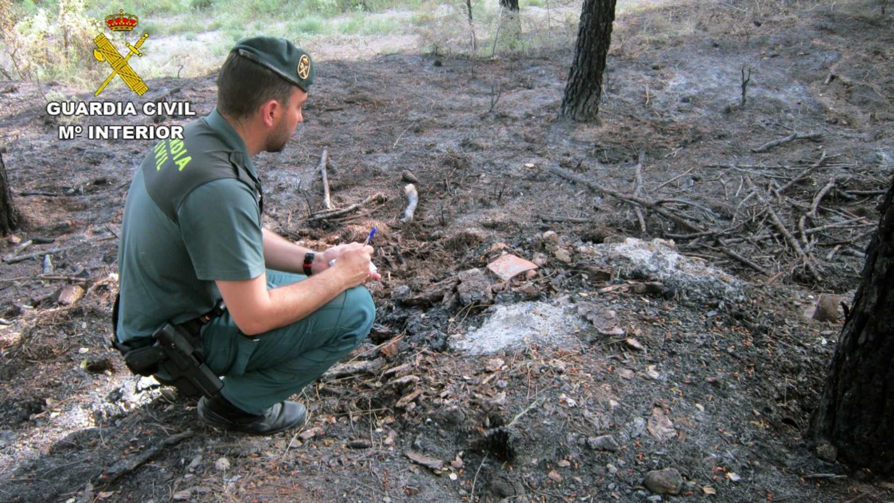 Un Guardia Civil analiza pruebas en una zona incendiada.