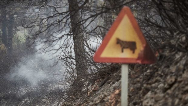 Incendio ganado