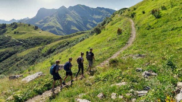 Perderse en la montaña